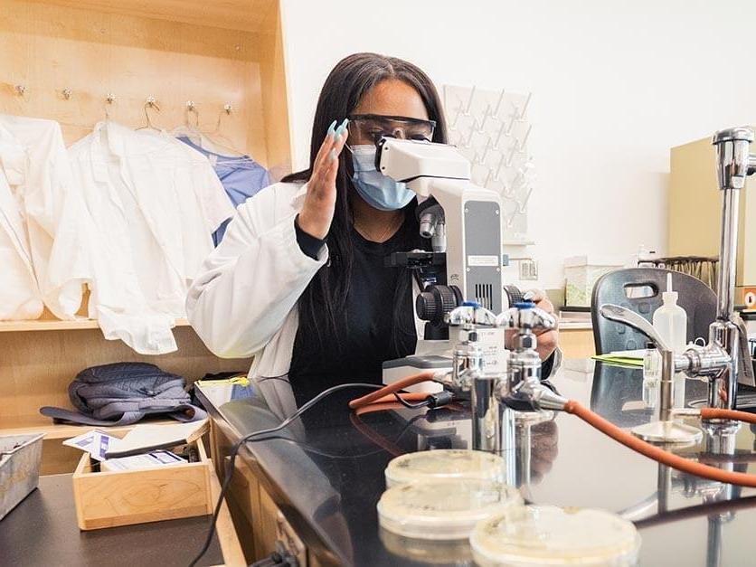 A student looks through a microscope